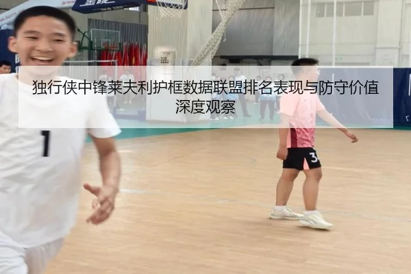 独行侠中锋莱夫利护框数据联盟排名表现与防守价值深度观察
